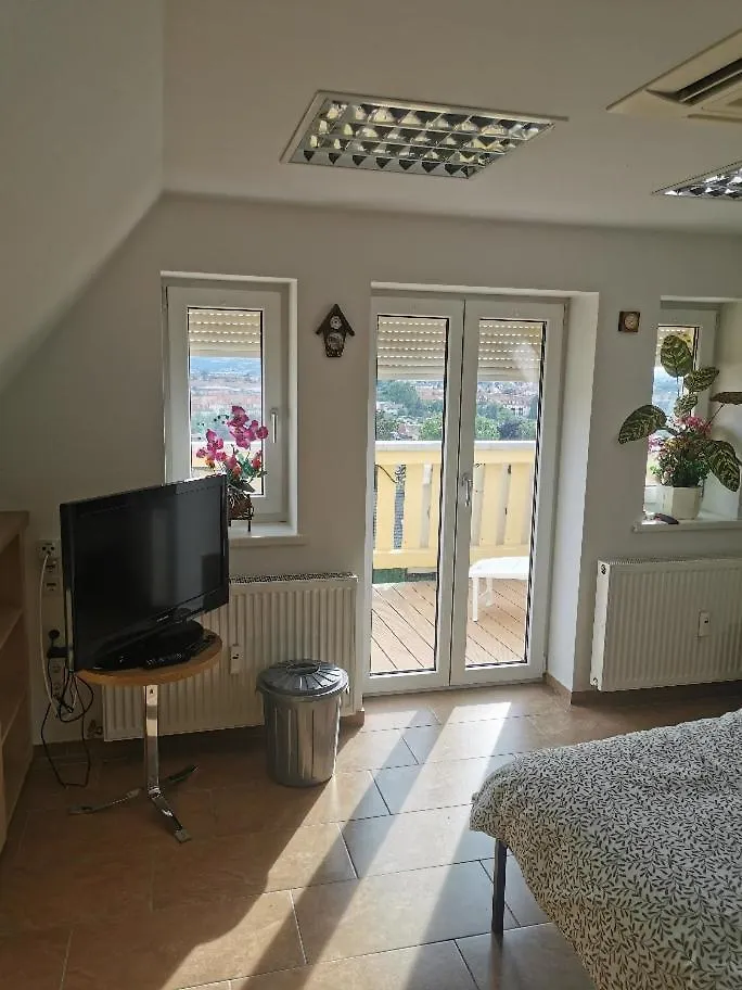 Appartement Ferienwohnung Dresden-Trachenberge-Stadtblick